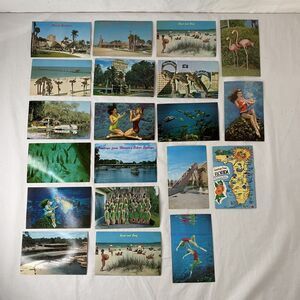20 Vintage Florida Postcards Unused Silver Springs Clearwater Busch Gardens Swim
